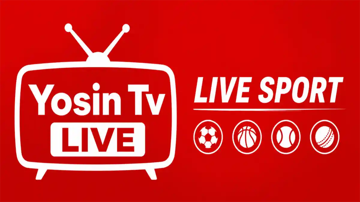 What Is YoSin TV and How Does It Work?